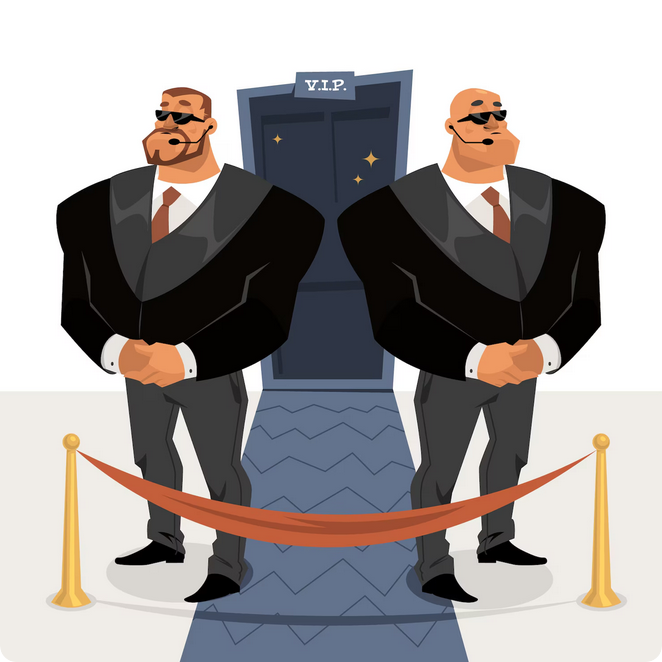 Why do our politicians and bureaucrats need security—and who are they afraid of? or Just Show-off